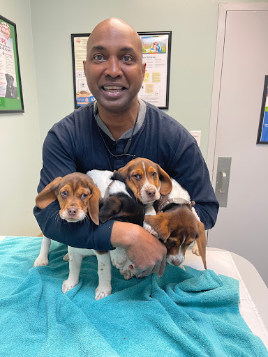 Best Friends Animal Hospital image