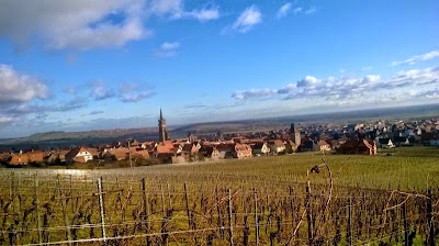 Vins d'Alsace Kamm Jean-Louis et Eric à Dambach-la-ville