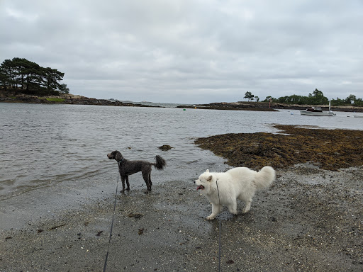 Nature Preserve «Steer Swamp Conservation Area», reviews and photos, 188 Washington St, Marblehead, MA 01945, USA