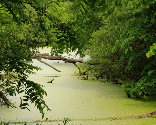 Park «Nowell Park», reviews and photos, 199 Mills Rd, Joliet, IL 60433, USA