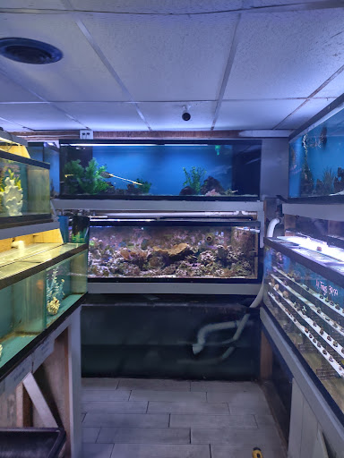 Pet Store «Fish Bowl Aquarium & Pet Mart», reviews and photos, 725 Providence St, West Warwick, RI 02893, USA