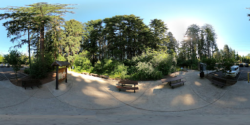 Nature Preserve «Lowami Hart Woods Natural Area», reviews and photos, 14895 SW Hart Rd, Beaverton, OR 97007, USA