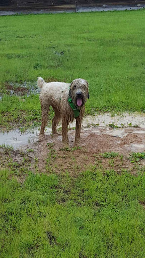 Pet Supply Store «Pet Supplies Plus», reviews and photos, 345 Willow Bend, Crystal, MN 55428, USA