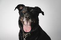 Shuttersmack Photography & Design - Photo 4 - Car repair in Minneapolis, MN, Minneapolis