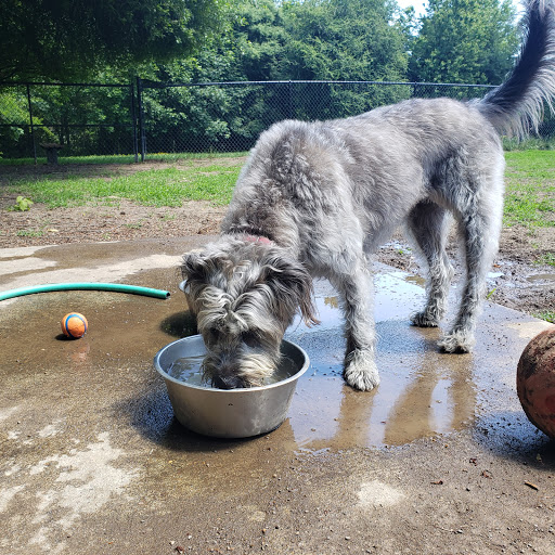 Pet Supply Store «Petco Animal Supplies», reviews and photos, 15660 SW Pacific Hwy, Tigard, OR 97224, USA