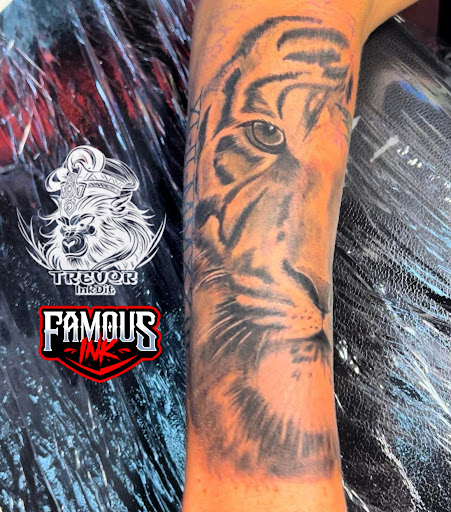 Explore crohns tattoo ideas, creative tattoo ideas in Hammond, available at Famous Ink, Inc.