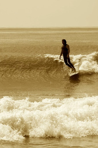 Surf Shop «Surf The Earth», reviews and photos, 47 Da Gullah Way, Pawleys Island, SC 29585, USA