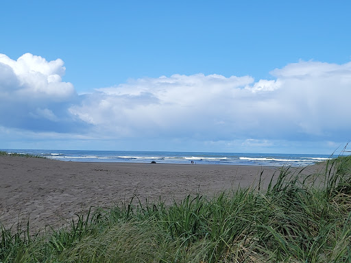 Aquarium «Seaside Aquarium», reviews and photos, 200 N Prom, Seaside, OR 97138, USA