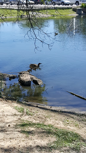 Zoo «Columbian Park Zoo», reviews and photos, 1915 Scott St, Lafayette, IN 47904, USA
