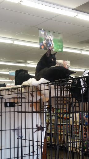 Pet Supply Store «Pet Food Express», reviews and photos, 3160 20th Ave, San Francisco, CA 94132, USA