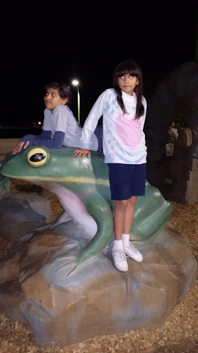 Park «Dust Devil Park», reviews and photos, 10645 W Camelback Rd, Glendale, AZ 85307, USA