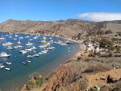 Photo de Harbor Sands avec rivage droit, long