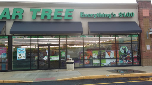 Dollar Store «Dollar Tree», reviews and photos, 1154 Hinkle Dr a, Wadsworth, OH 44281, USA