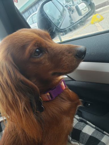 Pet Supply Store «Petco Animal Supplies», reviews and photos, 8551 S Howell Ave, Oak Creek, WI 53154, USA