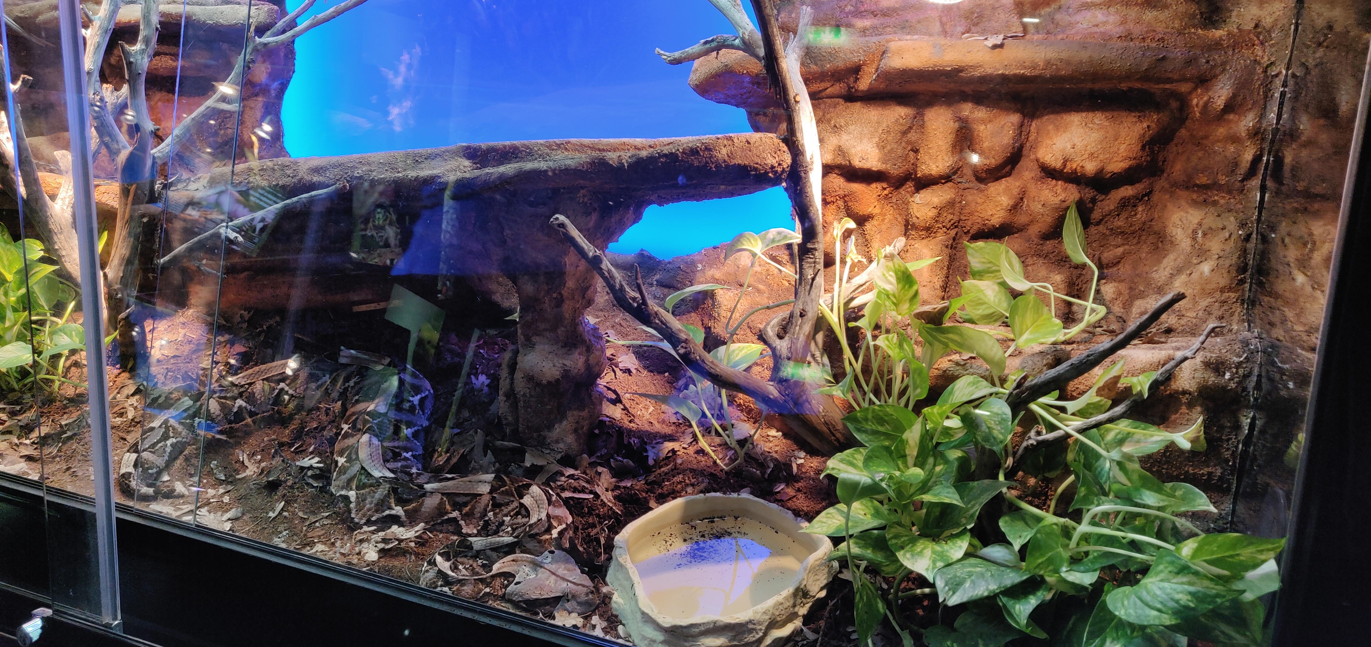 Photo n° 2 de l'avis de Sébastien. fait le 12/03/2019 à 17:13
