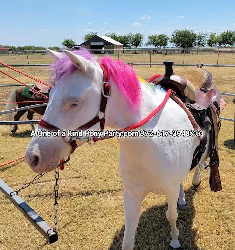 Zoo «A One of A Kind Pony Party», reviews and photos, 912 Bells Chapel Cir, Waxahachie, TX 75165, USA