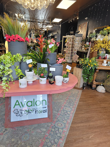 Florist «Avalon European Floral», reviews and photos, 504 Water St, Eau Claire, WI 54703, USA