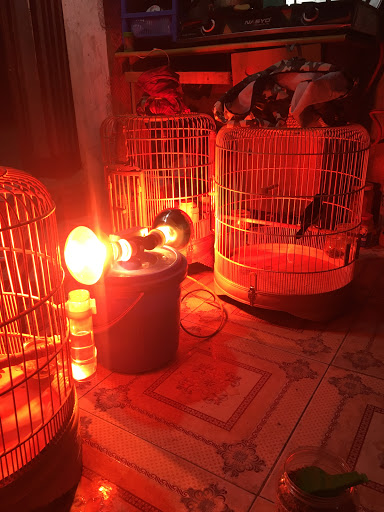 Top 20 chuỗi cửa hàng kepal Quận Hà Đông Hà Nội 2022