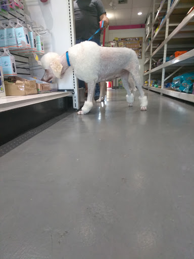 Pet Groomer «Pet Choice», reviews and photos, 4203 MacArthur Blvd, Oakland, CA 94619, USA