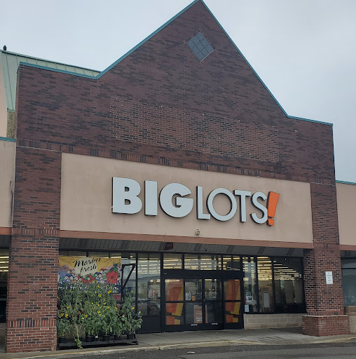 Discount Store «Big Lots», reviews and photos, 260 Voice Rd, Carle Place, NY 11514, USA