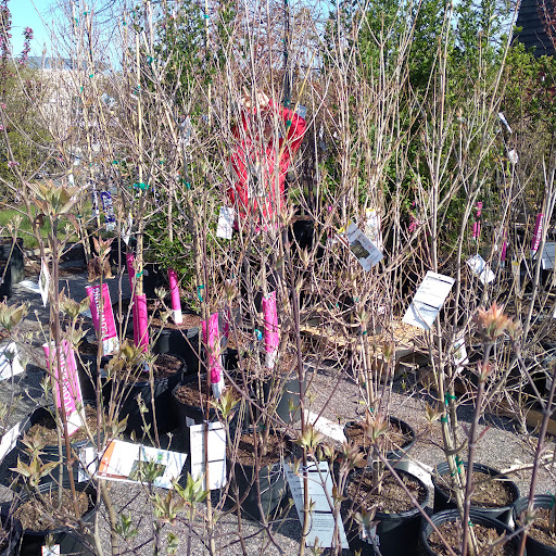 Home Improvement Store «The Home Depot», reviews and photos, 10 Gateway Blvd, Patchogue, NY 11772, USA