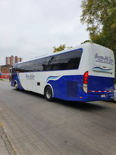 Buses Del Sur - Servicio de transporte