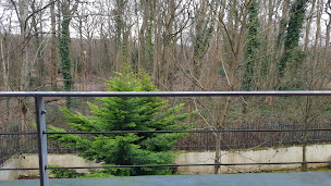 Photo n°141 de Best Western Plus Hôtel Paris Meudon Ermitage à Meudon ()
