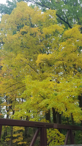 Park «Hines Park», reviews and photos, 7651 N Merriman Rd, Westland, MI 48185, USA