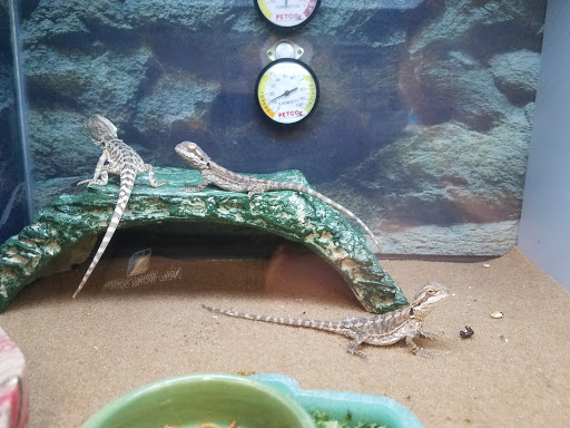 Pet Supply Store «Petco Animal Supplies», reviews and photos, 1574 N Dupont Hwy #300, Dover, DE 19901, USA