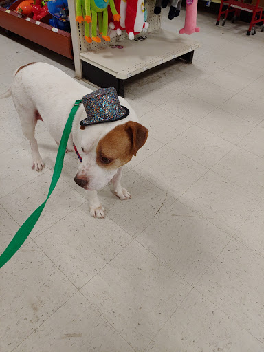 Pet Supply Store «PetSmart», reviews and photos, 8440 S Kipling Pkwy, Littleton, CO 80127, USA