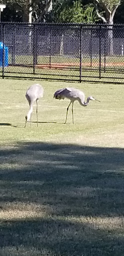 City Park «Palatlakaha Recreation Park», reviews and photos