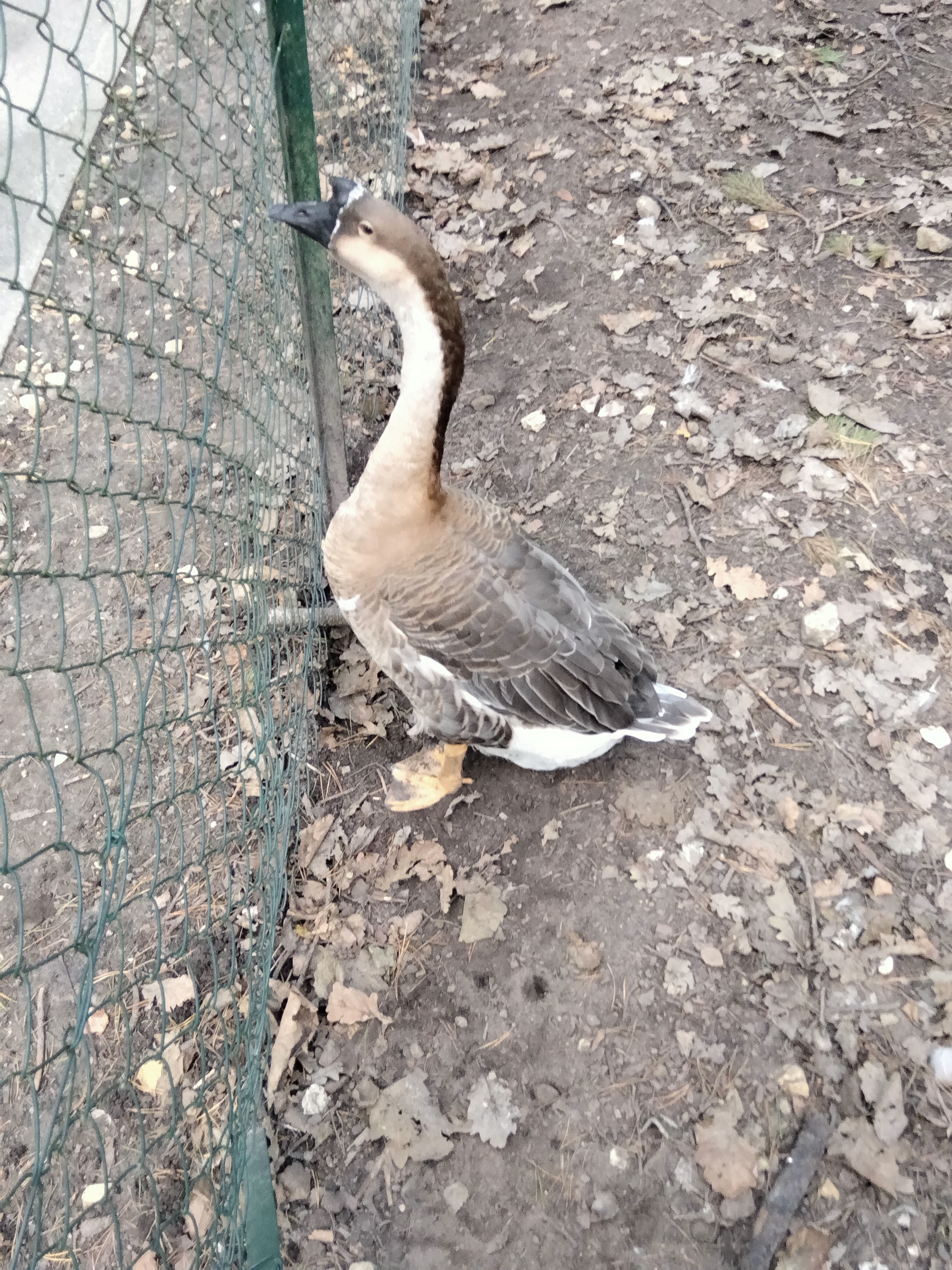 Photo n° 2 de l'avis de Jeremy-Claire.I fait le 29/08/2023 à 20:17