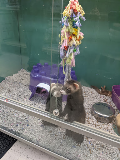 Pet Store «Petsway», reviews and photos, 1717 W Kearney St, Springfield, MO 65803, USA
