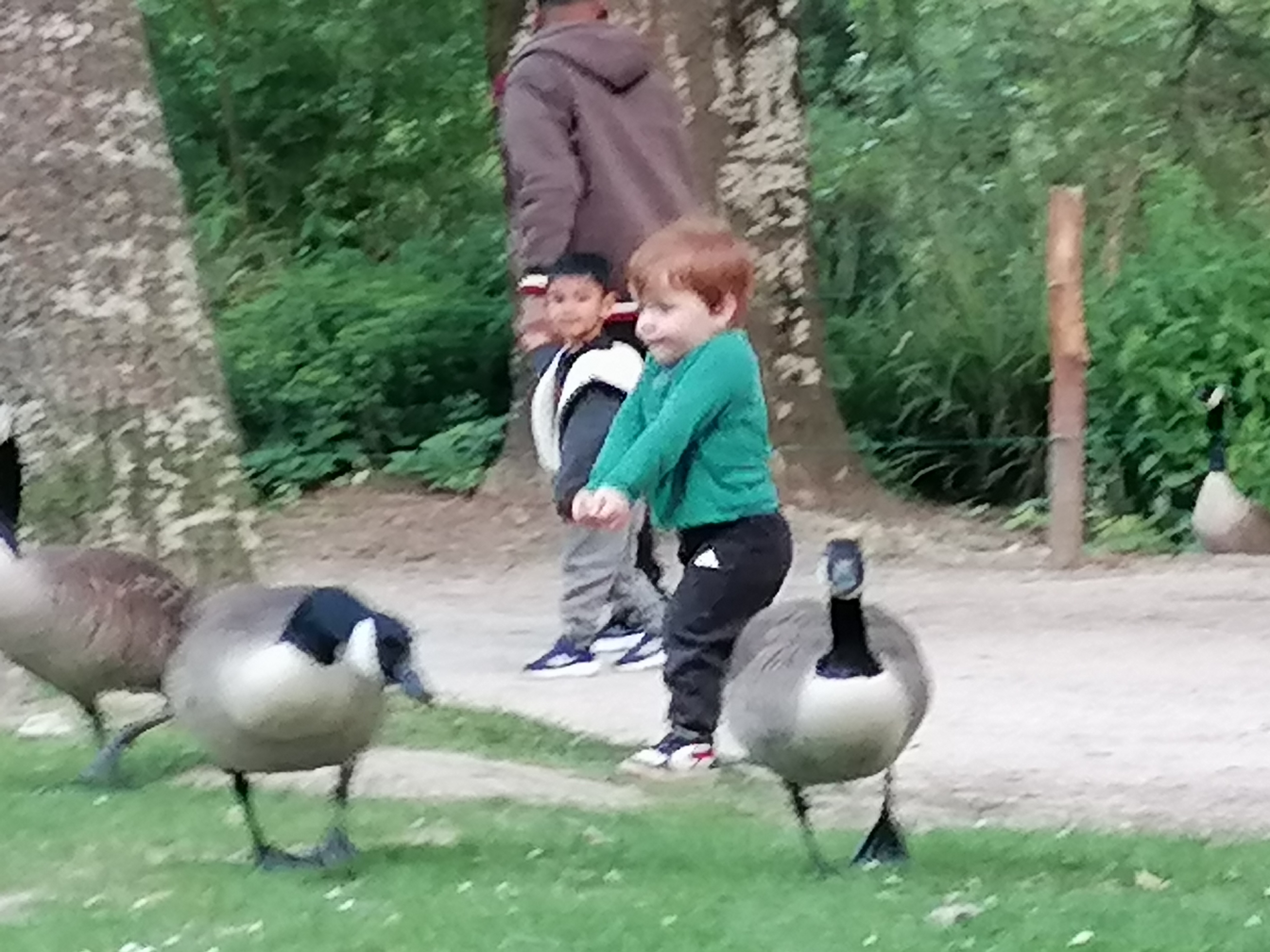 Photo n° 2 de l'avis de Sandrine.A fait le 07/07/2023 à 04:13