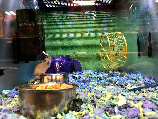 Pet Supply Store «PetSmart», reviews and photos, 17651 Colima Rd, City of Industry, CA 91748, USA