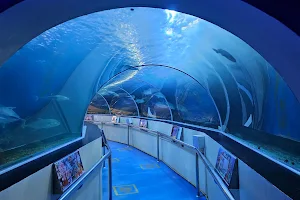 Waghor Aquarium image