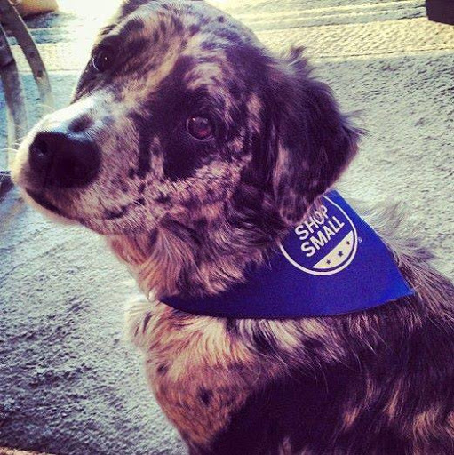 Gift Shop «eXtraOrdinary (XO) Gift Co.», reviews and photos, 3867 Tennyson St, Denver, CO 80212, USA