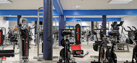 Total Fitness Gym - Francisco S, Fco. Vives, Zona Centro, 95270 Alvarado, Ver., Mexico