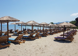Acquasanta Beach'in fotoğrafı biraz temiz temizlik seviyesi ile