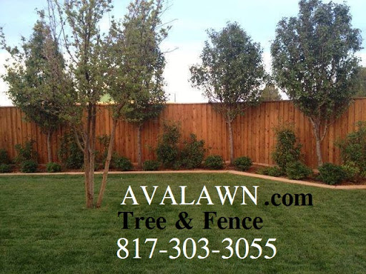AVALAWN Complete Tree, Lawn & Fence