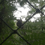 Photo n° 2 de l'avis de Deleted.c fait le 12/08/2019 à 17:54 pour Réserve Zoologique de Calviac à Calviac-en-Périgord