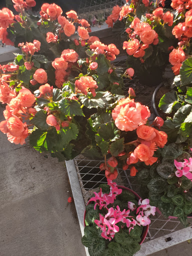 Home Improvement Store «The Home Depot», reviews and photos, 2303 US Hwy 27 S, Sebring, FL 33870, USA