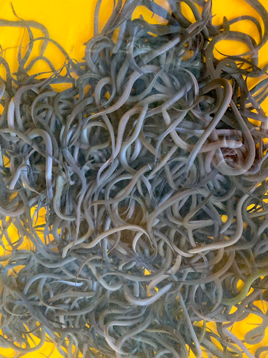 Top 20 caard cửa hàng Huyện Long Hồ Vĩnh Long 2022