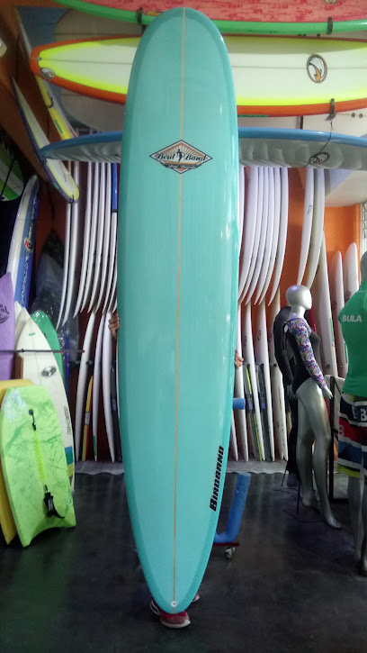 Birdband surfboards