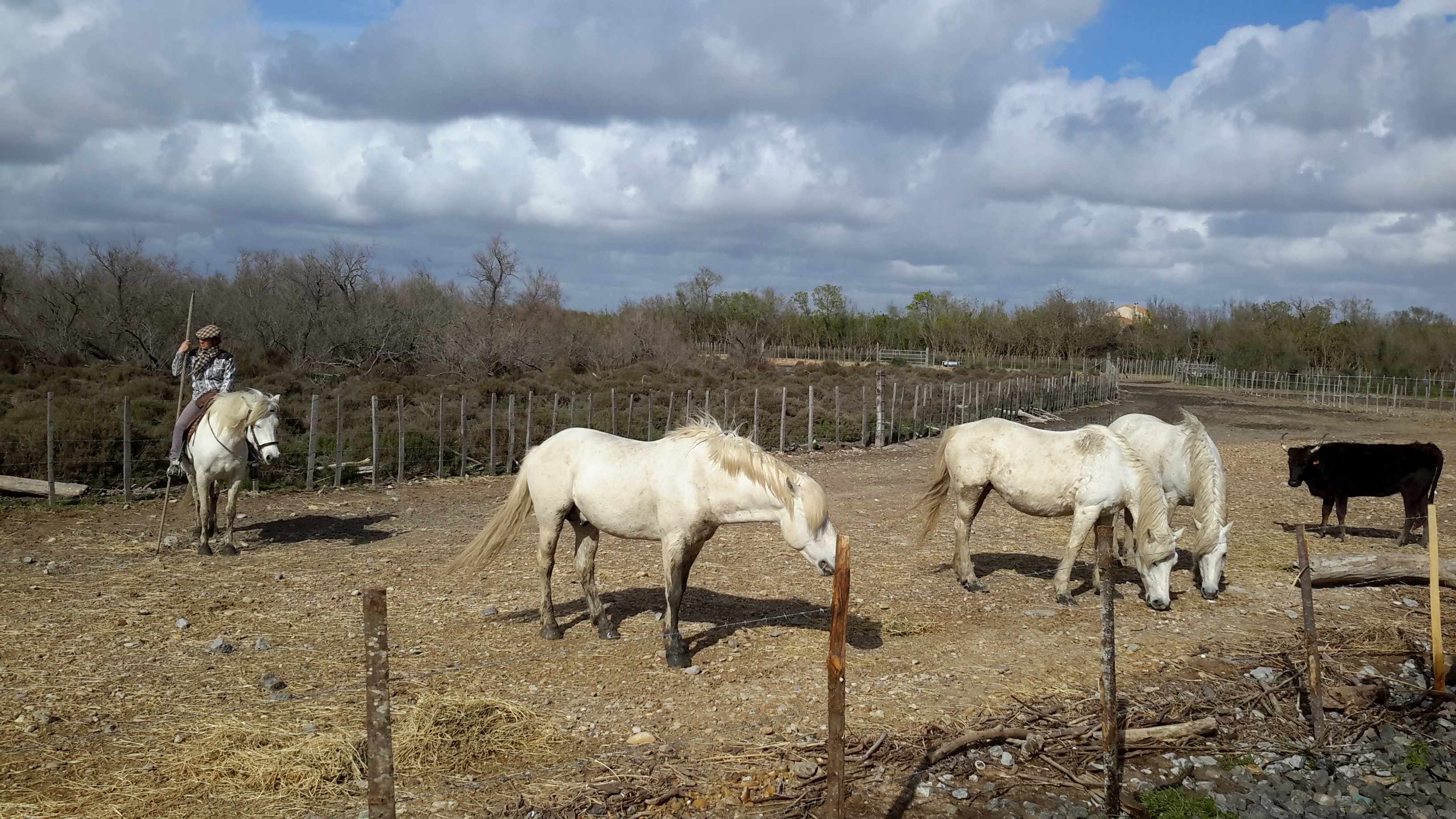 Photo n° 1 de l'avis de Pierre-paul.a fait le 12/04/2018 à 08:15