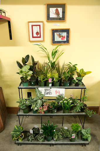 Florist «Flowers in Flight», reviews and photos, 1413 NE Alberta St, Portland, OR 97211, USA