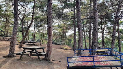 Müftüler piknik alanı