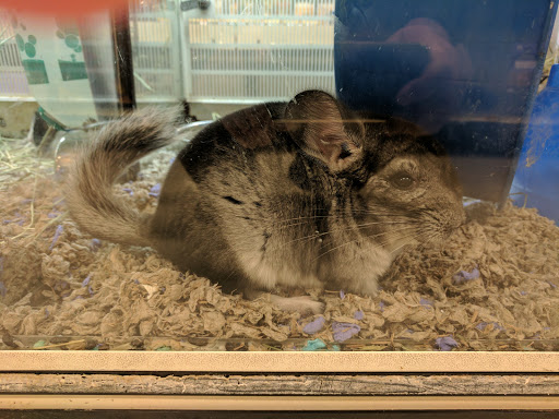 Pet Supply Store «PetSmart», reviews and photos, 2925 Lancaster Dr NE, Salem, OR 97305, USA