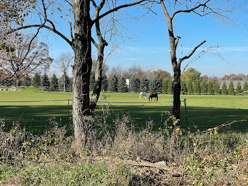 Country Club «Mulberry Hills Country Club», reviews and photos, 3530 Noble Rd, Oxford, MI 48370, USA