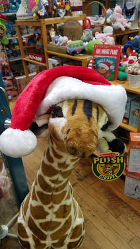 Toy Store «Ali Cat», reviews and photos, 200 N Greensboro St, Carrboro, NC 27510, USA